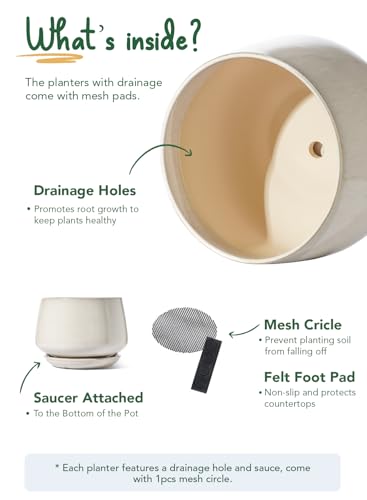 Ceramic Planter