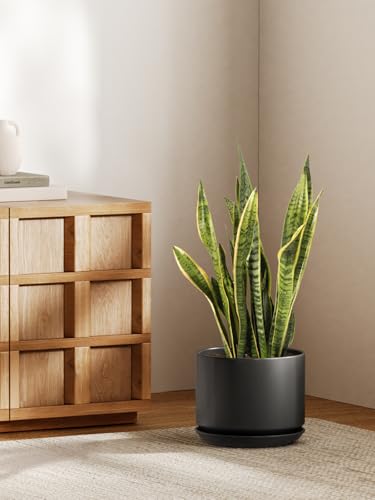 10 inch Plant Pot (Black / 10")