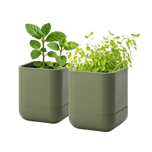3.5 Inch Wall Mounted Self (3.5" (2 Pack) / Olive)