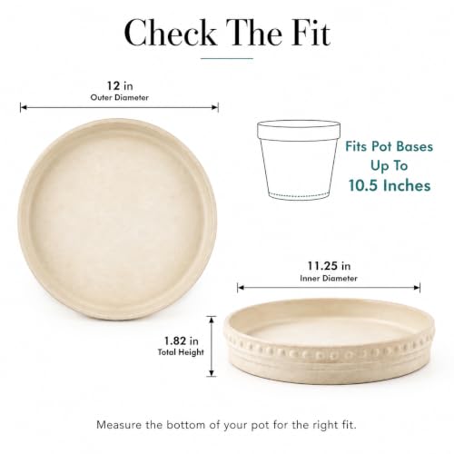 Plant Saucers (Beige White 12″)