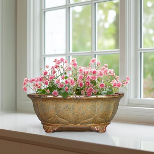 Ceramic Bonsai Pots (11 Inch / Oval Yellowish Brown)