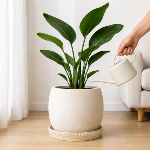 Plant Saucers (Beige White 12″)
