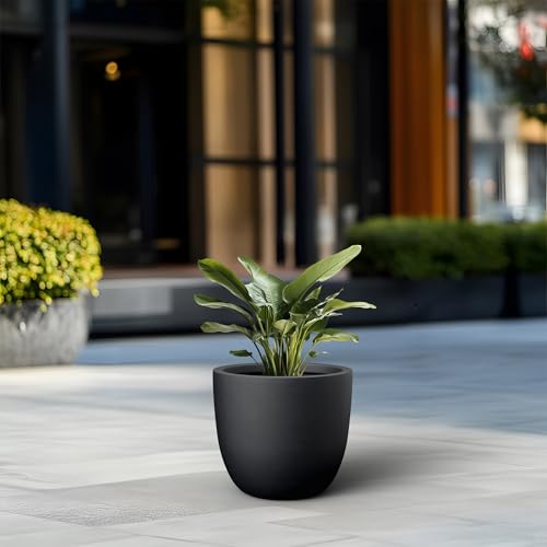 Black Concrete Planter 14" Dia All (Black / 14-Inch Dia)