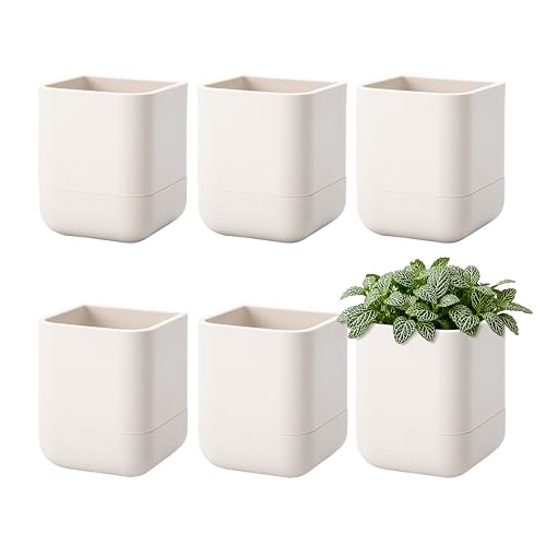 3.5 Inch Wall Mounted Self (3.5" (6 Pack) / Oatmeal)