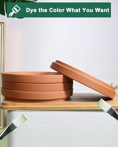 8 Inch Terracotta Pot Saucer
