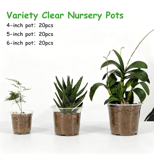 60 Pack 6/5/4Inch Clear Nursery Pots with Drainage Holes, Clear Plant Pot for Planting, Transparent Plastic Plant Pots,Durable Seed Starting Pot for Succulents (4/5/6Inch-60Pack)