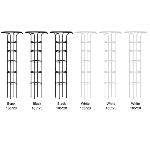Garden Obelisk Trellis for Climbing Plants