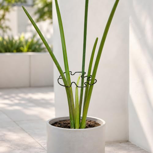 4.13x2.95in Monstera Plant Stem Support (Black / 4.13IN*2.95IN)