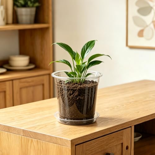 4/5/6/7 Inch 40 Pack Clear Plastic Nursery Pots with Drainage and Saucer (4/5/6/7inch 40pack)