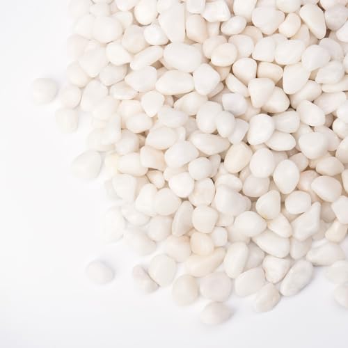 2.5 lbs White Pebbles for Vases (White)