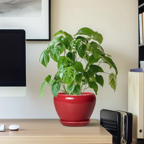 6 Inch Plant Pot (6 Inch / Glossy Red)