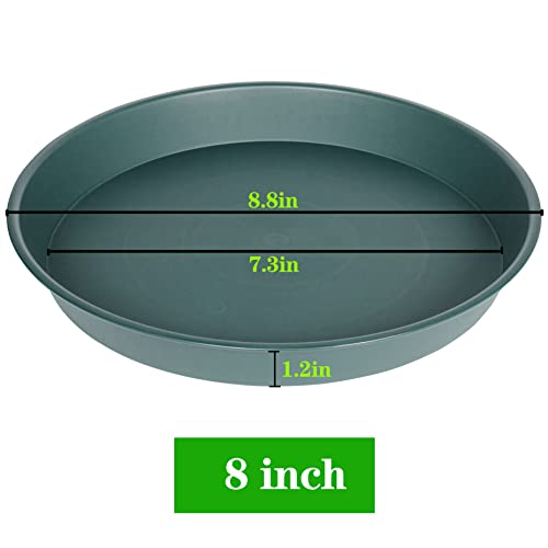 2 Pack of 8 inch Plant Saucer Clear (8" (2 pack) / Green)