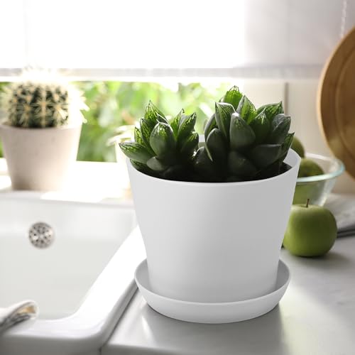 36 Pack 5.5 Inch Plastic Plant Pots with Saucers White Flower Plant Container Seed Starting Pots Thickened Seedlings Nursery Pot for Home Garden Indoor Outdoor Flowers (White / 5.5 Inches)