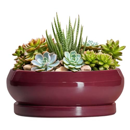Succulent Pots (8 Inch / Wine Red)