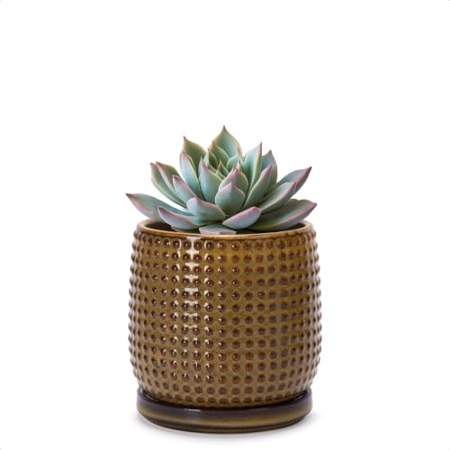 Beaded Ceramic Pot with Saucer (4.3 Inch / Olive Bronze)