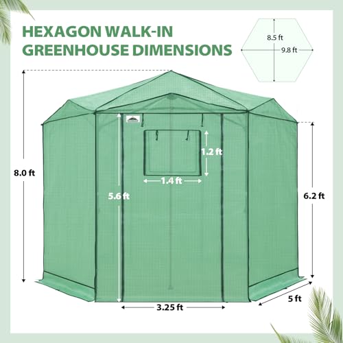 8.5x8.5 Easy Setup Pop Up Greenhouse (Clear/Green / 8.5x8.5)