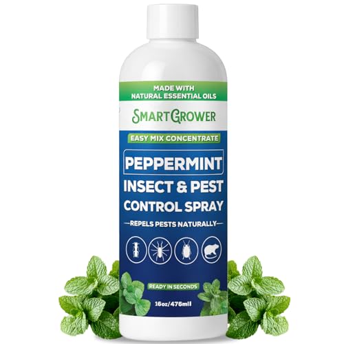 Peppermint Oil Spray for Rodents (16 Fl Oz (Pack of 1))