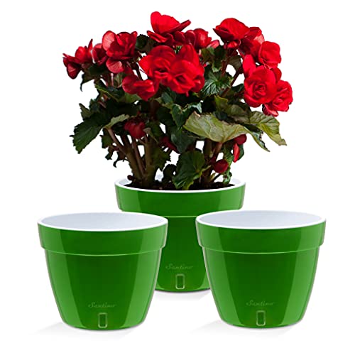 AST 7.1 Inch Self Watering Planter Green
