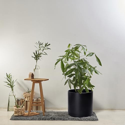 Plastic Planter Pot with Saucer (16 Inch / Matte Black)