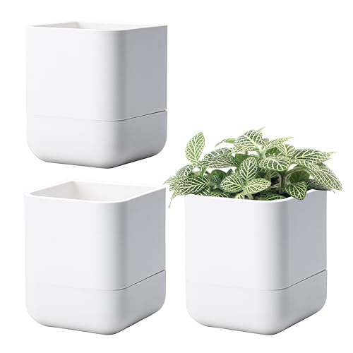 4.5 Inch Wall Mounted Self (4.5" (3 Pack) / White)