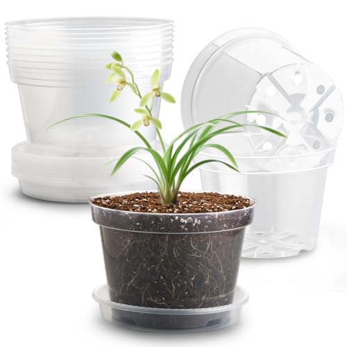 12 Pack 8 Inch Clear Plant Pots with Saucers (Clear / 8 Inch 12 Pack)