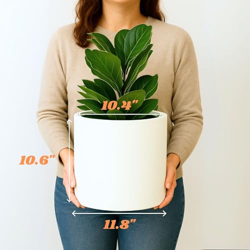 Large Planter for Indoor or Outdoor (Matte White / 12 Inch)