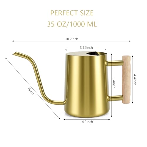 Watering Can Indoor Plants (Gold)