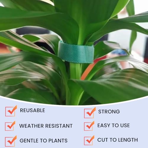 Plant Ties Hook and Loop Garden Tapes 1 (1/2 Inch x 32 Feet / Green)