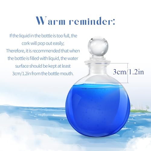 1 Pcs 8.5 oz Glass Potion Bottles with Cork (Stylish)
