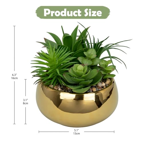 Succulents Plants Artificial in Pots Fake Succulents for Outdoors Indoor Faux Succulent Arrangement Potted Plant in Gold Ceramics Planter Bowl for Garden Office Desk Living Room Home Decor (Gold)