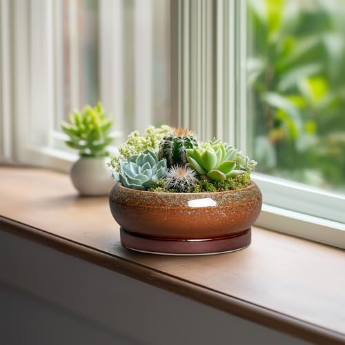 Succulent Pots (6 Inch / Retro Brown)