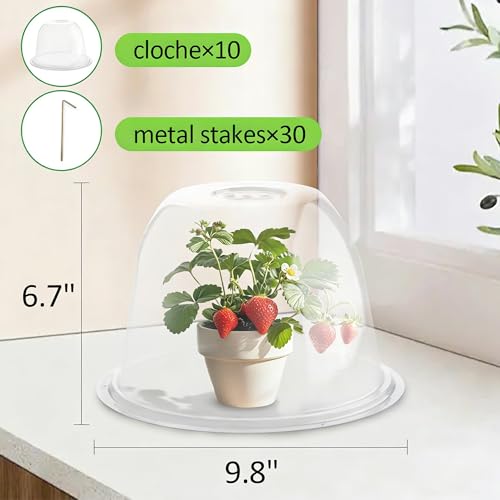10" D × 6.7" H Plant Protectors from Animals (10" D × 6.7" H 10P)