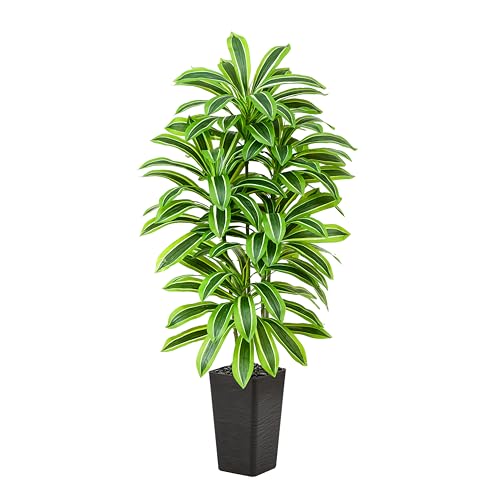 Artificial Dracaena Tree (Light Green – Black Pot / 5FT)