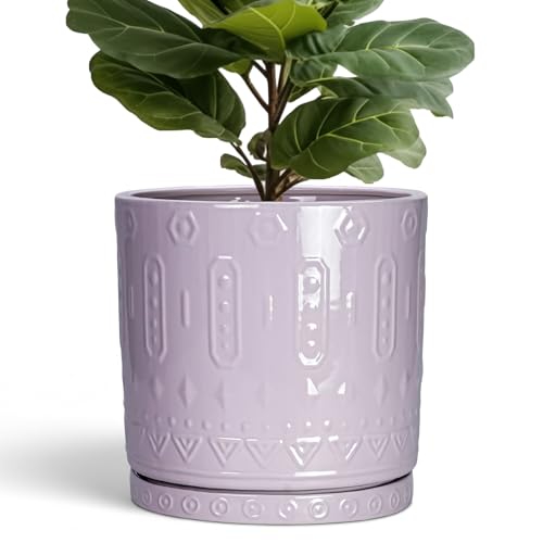 Ceramic Plant Pots (12 Inch / Purple)