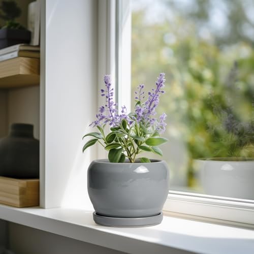 6 Inch Plant Pots