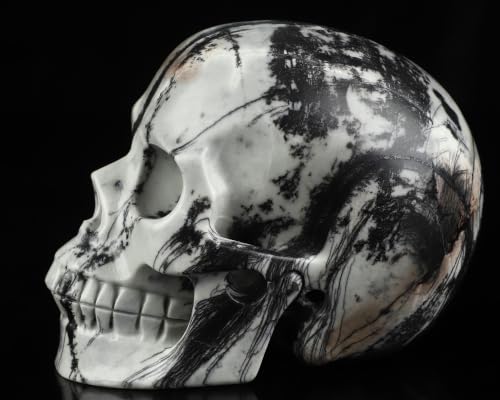 5.0" Black Picasso Jasper Crystal Skull (Skullis 5.0" Black Picasso Jasper 55)
