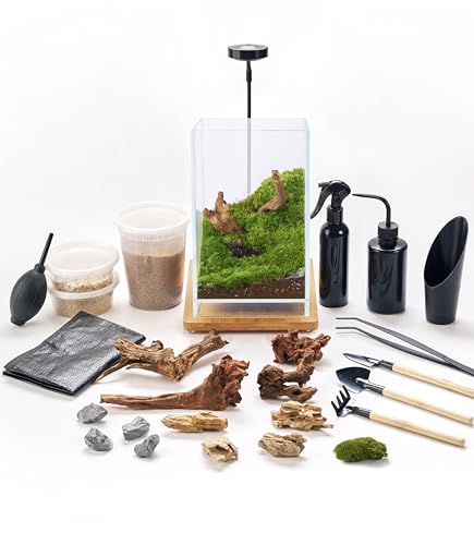 27 PCS Glass Plant Terrarium Kit with LED Grow Light (Tall Cube Set)