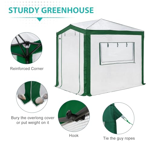 8x6 Walk in Pop Up Greenhouse