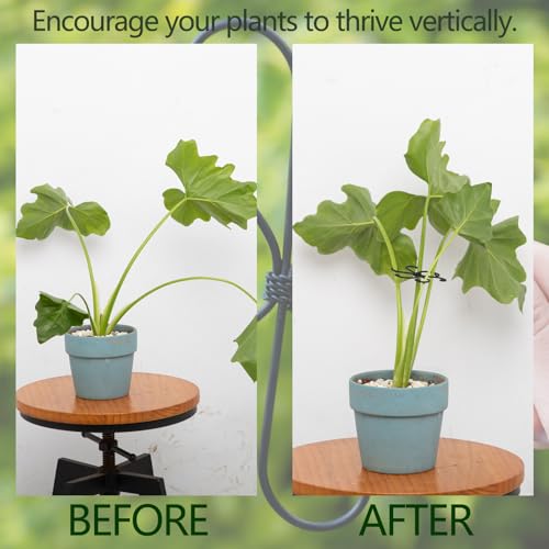 5PCS Monstera Plant Stem Support (Black / 2.75IN*2.75IN)
