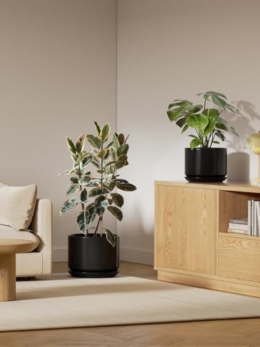 12 Inch Pots for Plants (Black / 12")