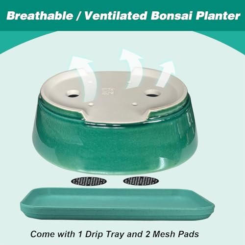 2pcs Green Ceramic Bonsai Planter Pots with Bamboo Tray 6.2 “ & 5.3” (Crackle Glazed 9")