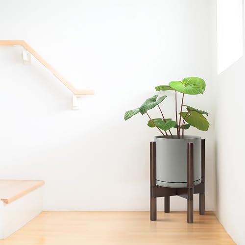 Ceramic Pot with Walnut Wood Stand