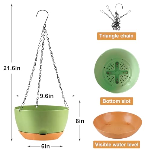 Hanging Planters (Green / 10 inch)