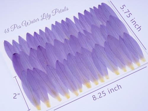 48 Pcs Mix Natural Dried Pressed Water Lily Petals for Cake Decorating (Water Lily)