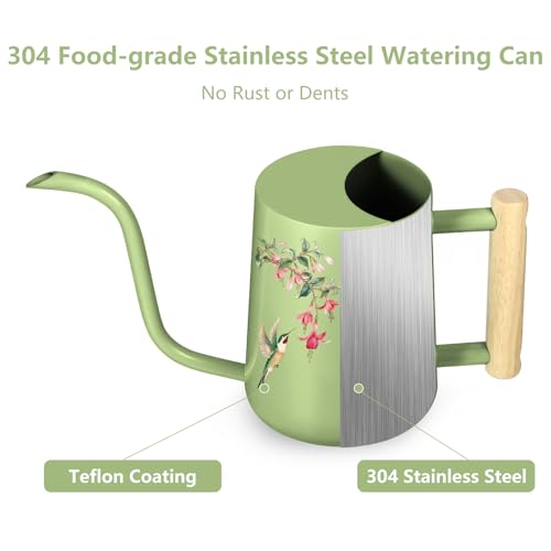 Watering Can Indoor Plants (Saga Green 2)
