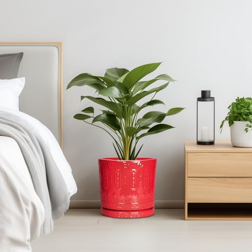 10 Inch Plant Pot (10 Inch / Red)