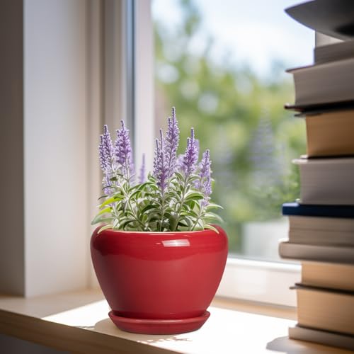 6 Inch Plant Pot (6 Inch / Glossy Red)