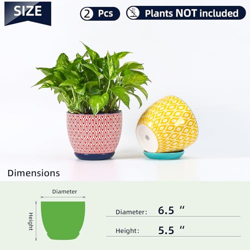 Ceramica Plant Pots (Assorted Colors / 6.5 Inch, Set of 2)