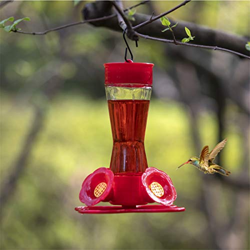 Bird Feeder 4 bee Guard Plastic Feeding Port 8oz Glass Pinch Waist Hummingbird Feeder (2pcs / Red)