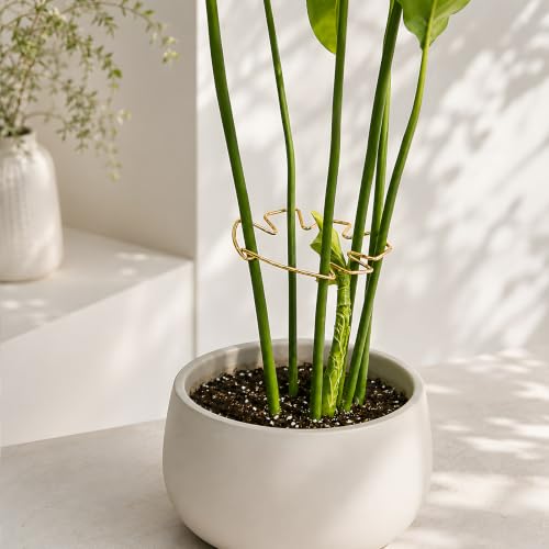 5.5x4.7in Gold Monstera Plant Stem Support System (Gold / 5.5IN*4.7IN)